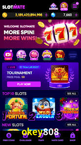 Crash Games Statistics okey808